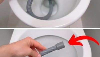 Trick with a hose to unclog the toilet