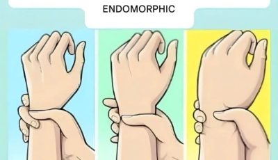 Ectomorph, Mesomorph, or Endomorph? Discover Your Body Type and How to Make the Most of It