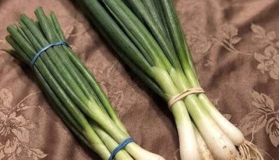 The Difference Between Green Onions, Scallions, Spring Onions, and Chives Explained
