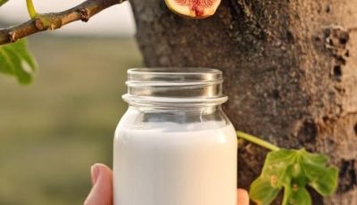 Here’s why gardeners collect fig milky sap in a small bottle