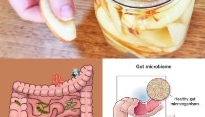 A Simple Fermented Apple Recipe for Gut Health, Immunity, and Natural Energy