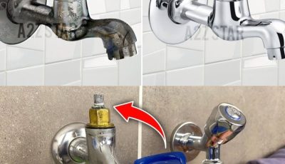 Shower faucet full of limescale, how to clean it to make it new again