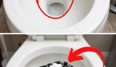 The morning ally that transforms your toilet maintenance