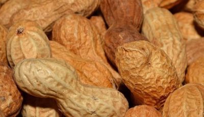 How peanuts can provide valuable nutrients in the diet of older adults