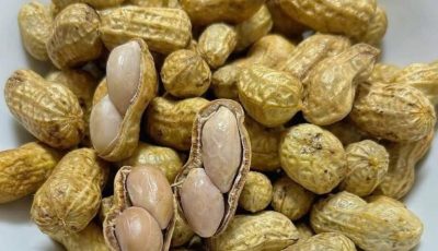 How peanuts can provide valuable nutrients in the diet of older adults