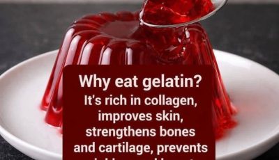 Health Benefits of Gelatin: Why This Simple Food Is Gaining Attention
