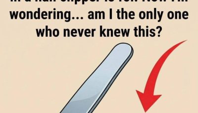 Why Your Nail Clipper Has That Small Round Hole and Why It Still Matters Today