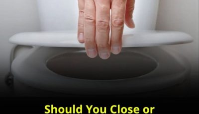 The toilet lid — should it be closed or left open?