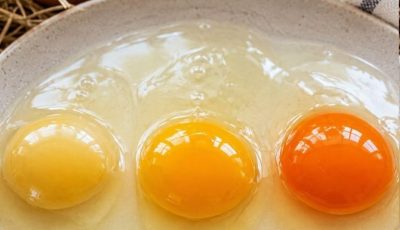 The Egg Yolk That Stopped Me in My Tracks