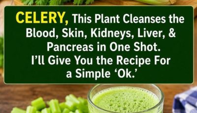 This plant cleans blood, skin, kidneys, liver and pancreas in one stroke. But do it this way.. To keep getting my recipes