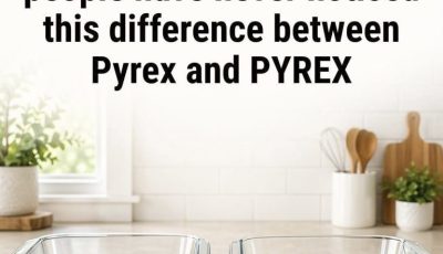 Pyrex vs. PYREX: What’s Actually Different (And Why It Matters)