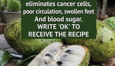The Truth About Soursop Leaves: Can They Really Fight Cancer, Improve Circulation, and Lower Blood Sugar?