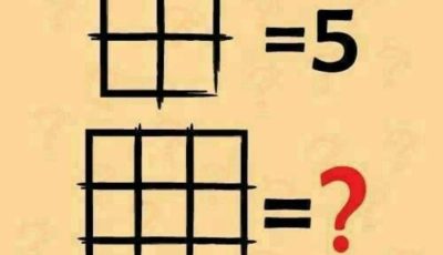 The Puzzle of Counting Squares That Challenges Everyone (And How to Solve It)