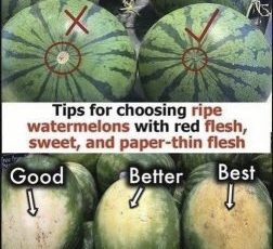 How to Pick the Perfect Watermelon