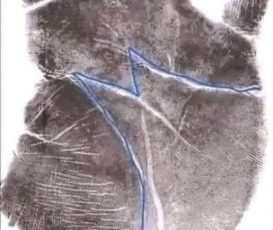 Have you ever taken a quiet moment to look down at your own hands? Most of us go through our days without ever truly studying our palms. 020