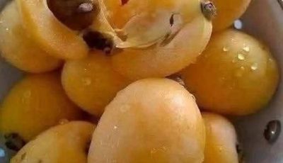 Traditional Apricot (Mishmish) Jam: Summer Preserved in a Jar