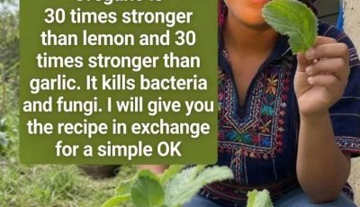 Oregano is 30 times stronger than lemon and 30 times stronger than garlic. It kills bacteria and fungi. I’ll give you the recipe in exchange for a simple OK.