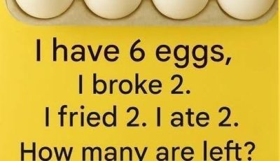 The Riddle of the 6 Eggs — Solved!