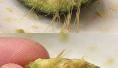 What Those Strange Strings in Your Avocado Really Mean