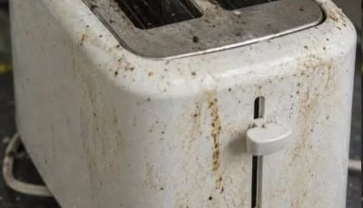 Your Toaster Is Grosser Than You Think