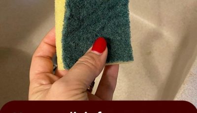 Sponges: from microwave to boiling water, how to disinfect them and