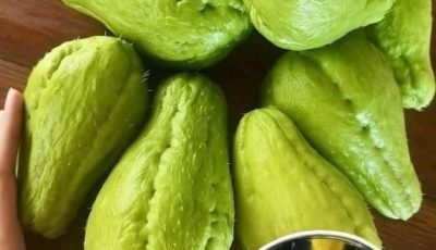 Benefits and Uses of Chayote Juice: A Refreshing Boost for Your Health