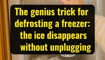 The ingenious trick to defrost a freezer: the ice disappears without unplugging the power plug
