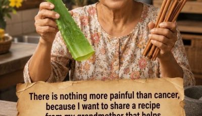 Aloe Vera and Natural Wellness: How Traditional Remedies Can Support a Healthy Lifestyle