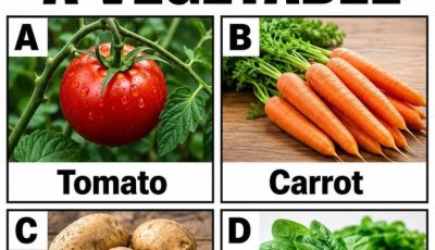 Are You Able To Answer These Tricky Questions