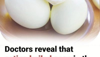 Doctors Reveal That Eating Boiled Eggs in the Morning Causes… Better Energy, Satiety, and Long-Term Health (Here’s the Science)