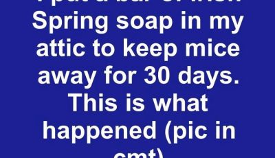 I put a bar of Irish Spring soap in my attic to keep mice away for 30 days. This is what happened