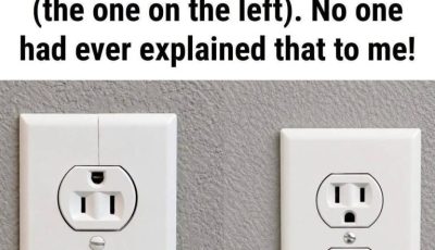 No one had ever explained that to me!