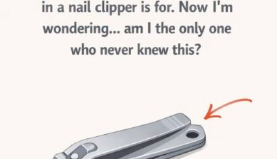 Why Your Nail Clipper Has That Small Round Hole and Why It Still Matters Today