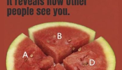 Which watermelon slice would you eat first?