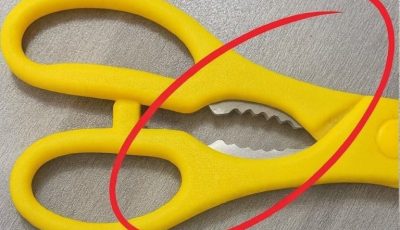 The Hidden Tool in Your Kitchen Scissors That’s Blowing People’s Minds
