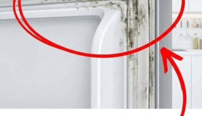 Here’s how to clean your refrigerator’s waterproof seal in 5 minutes.