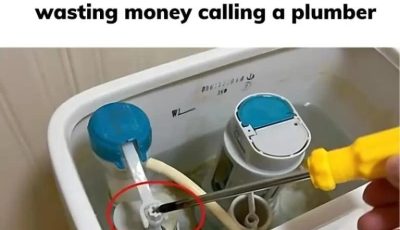 Toilet flushing weak and no suction? Here’s a tip to help you avoid wasting money calling a plumber
