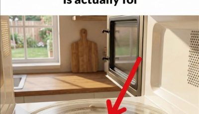 I Learned Something Surprising Today — That “Little Ring” in Your Microwave Actually Matters