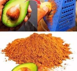 Avocado Pits: Surprising Benefits You Probably Didn’t Know