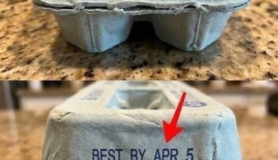 The Secret Meanings Behind the Codes on Egg Cartons