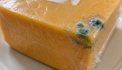 hat Green Spot on Your Cheddar… Cut It Off or Toss the Whole Thing?