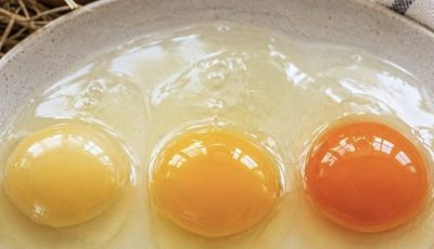 The Egg Yolk That Stopped Me in My Tracks
