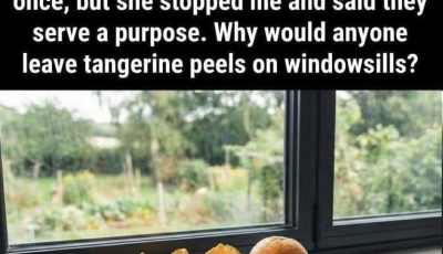 Don’t Throw Away Tangerine Peels: The Easy Natural Trick That Freshens Your Home (And 10 More Ways to Use Them!)