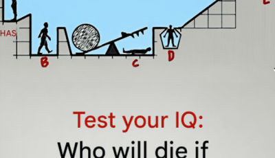 Test your IQ: Can you solve this test?