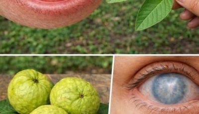 Guava for Eye Health