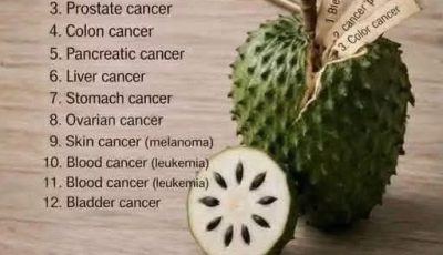 Soursop: What Science Really Says About This Tropical Fruit