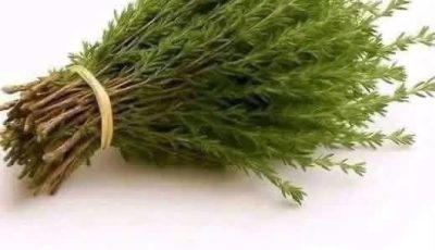Thyme Tea
