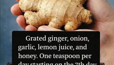 Ginger Garlic Honey Blend