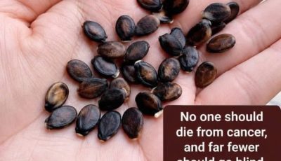 Roasted Watermelon Seeds
