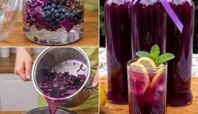 Purple Cabbage Berry Drink